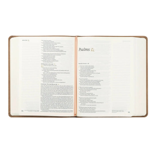 Galilee NLT Notetaking Bible