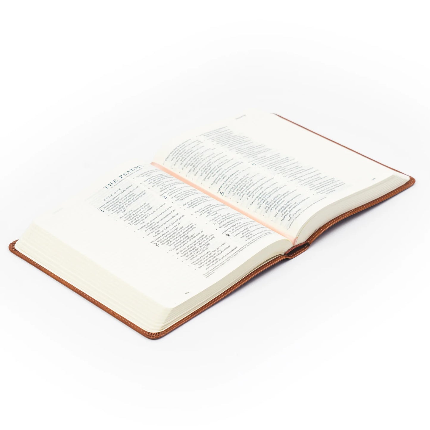 Sierra ESV Journaling Bible